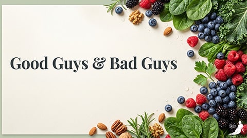 Übersicht Good und Bad Guys